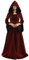 BLESSUME Médiéval Femmes Lacer Fête Robe Éclater Manche Cosplay Fantaisie Encapuchonné Longue Robe (Bourgogne, XL)