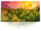Paul Sinus Kunstdruck Bilder 120x60cm Weinberg Weinanbau Weinrebe Sonnenschein Natur