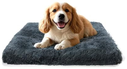 MDDK DY Hundebett, katzenbett, klein Hundekissen Waschbare, Flauschige Hundematte, Langer Plüsch, weiche Polsterung, multifunktional Hundekistenmatratze, Dunkelgrau,50x40x5cm