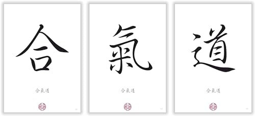 Kampfsport Deko Aikido Bilderset Kampfkunst Budo Dekoration Kunstdruck 3 Poster Bilder Geschenkidee für Aikidoka Kampfsportler Asiatische Kanji Schriftzeichen
