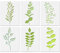 6 Pcs PET Ferns Leaf Botanical Stencils Reusable Leaves Stencils Handmade DIY Drawing Templates for Pillow Wall Scrapbook Card etc 15x20cm