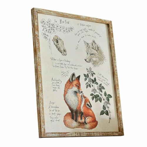 Loberon Dekoboard Survie, bunt | Naturgetreue Fuchsillustration, White-Washed-Finish, Wanddekoration, Wandbild, Kiefernholz Eisen