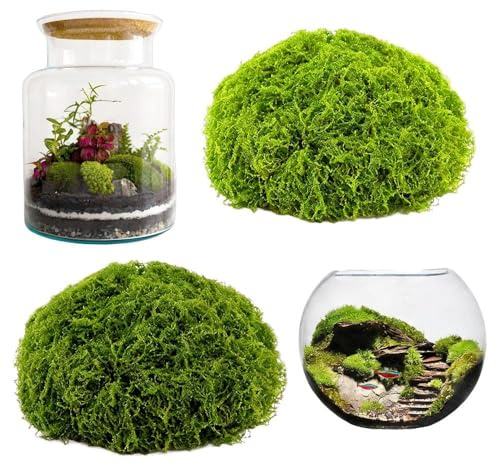 YANKOIUK 300g Fake Moss, Artificial Moss for Wreath Making | Realistic Faux Moss for Indoor Plant Pots, Outdoor Landscaping, DIY Crafting (Dark Green 150g+Light Green 150g)