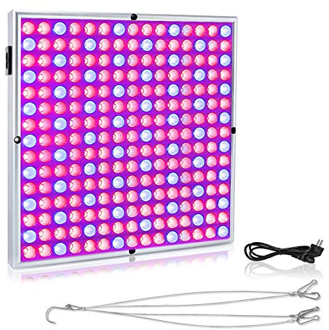 HENGMEI Pflanzenlampe 2x45W Pflanzenleuchte Pflanzenlicht Wachstumslampe mit 225 LEDs Rot&Blau Zimmerpflanzen Wuchslampen Innengarten Pflanze wachsen Licht (2x45W)