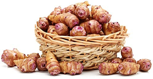 20 Stück topinambur samen gartenarbeit saatgut pflanzensamen zimmerpflanze gemüsesamen alte sorten winterfeste pflanzen für balkon gemüsebeet zimmerpflanzen saatgut gemüse