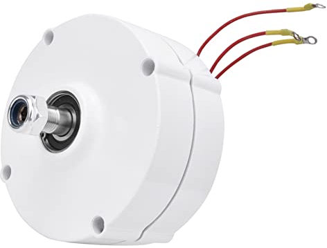 Generatore a Magneti Permanenti 100 W, NE-100, a Risparmio Energetico, Robusto e di Lunga Durata, per Uso Industriale, Basse Perdite, Alta Efficienza, Comodo Usare, (il