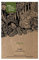 Luffa (Luffa cylindrica) - ca. 5 Samen