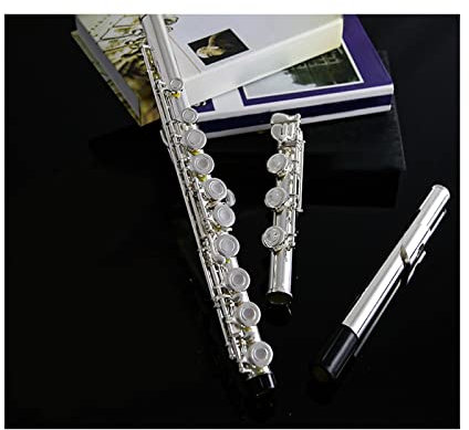 flöte Instrument Querflöte Einsteiger Einsteiger Musikinstrument 16 Offene Und Geschlossene Löcher Versilberte Primärpfeife (Color : 17open Close)