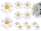 Lhbwhiz 12 Stück Gänseblümchen Folienballons, 3 Größen Blume Mylar Folie Luftballons, Blume Geformte Folienballons, Blumen Ballons Für Baby Shower Babyparty Hochzeit