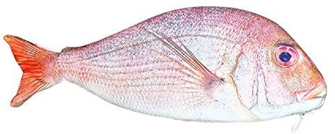 NATHA Fisch Geformt Bleistiftbeutel FedermäPpchen Box Fisch Schule Stift Fall OriginalitäT Schule Kreative Geschenke (Rot)