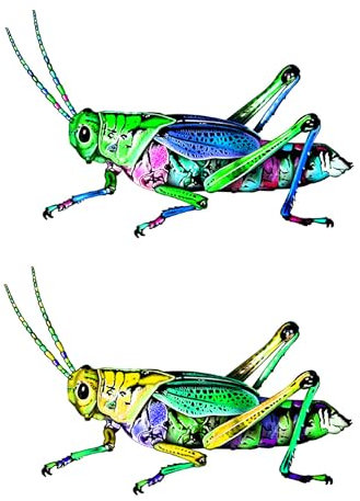 XCSJ Metall Insekten Wanddekoration Eisen Insekten Skulptur Wandkunst Hängend Wandskulptur Skulptur Wanddekoration Outdoor Garten Insekten Ornamente für Zaun, Garten, Hof, Home - 2 Pcs (B)