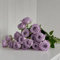 rosen samen zum pflanzen - pflanzen garten, steingarten pflanzen rosensamen gartenblumen, winterharte pflanzen flower, bienenweide saatgut balkonblumen, pflanzen winterhart draußen 100pcs