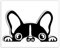 SkinoEu® 1 x Vinyl Aufkleber Autoaufkleber Sticker Dog Hund Französische Bulldogge Auto Moto Motorrad Fahrrad Skate Helm Fenster Spiegel Tür Tuning B 88
