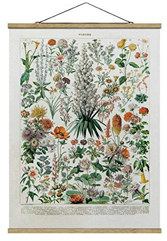 Bilderwelten Stoffbild mit Leisten Vintage Lehrtafel Blumen I Hochformat 4:3 46.5x35cm Eiche