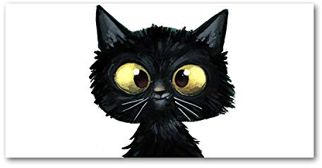 Tulup Splashback 47.24x23.62 inch / 120x60 cm Wall Protection Glass Panel Kitchen Panel Splash back Kitchen Protection Induction Cooker Tempered Glass Toughened Safe Glass - Black - cat