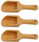 Lot de 3 mini cuillères à sel en bois naturel pour sels de bain, bonbons, miel, épices, sucre et thé en poudre Jagowa