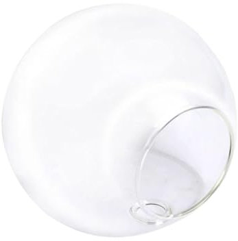 Vaso in trasparente per fiori grassi, portavaso per piante grasse, vaso in per fiori e piante