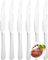 FAMILY Pack 6 Cuchillo 22.6x2CM de Mesa Acero Inoxidable Diseño Liso, Elegancia y Funcionalidad para Cada Ocasión, Cubiertos de Alta Gama para Hogar y Restaurante