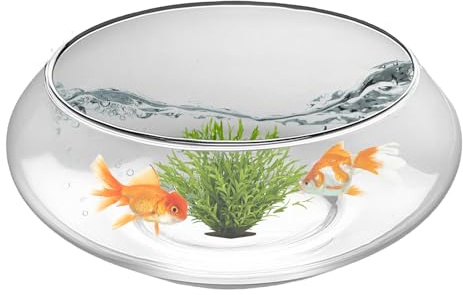Grand Vase Rond en Verre pour Grasses | Bol à Poisson Rond Peu Profond pour décoration d'intérieur, centres de Table, Grasses, Fleurs