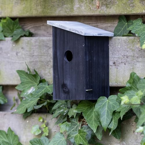 Gifts4Nature Nistkasten – Vogelnistkasten für Vögel draußen wetterfest – Holz FSC® 100% – 32 mm Einflugloch – für Meisen Spatzen – mit Drainage und Reinigungsöffnung