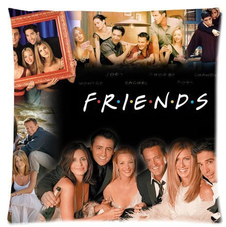 Friends TV Show Merchandise Pillowcase Pillow Protectors Custom Zippered Pillow Case Size: 20x20 Two Sides Pillow Encasement