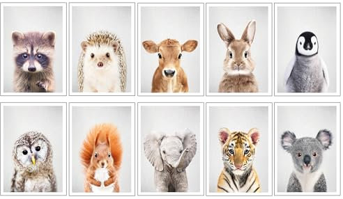 DKORARTE Set mit 10 A3-Wandbildern, für moderne Wohnzimmer, Schlafzimmer, Zimmer, ohne Rahmen, Kinder, Zeichnungen, Tiere, Plüschtiere (41 x 29,7 cm)