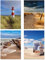 PICSonPAPER Poster 4er-Set Nord- UND OSTSEE, ungerahmt 30 cm x 40 cm, Kunstdruck, Poster, Dekoration, Wandbild, Geschenk, Makroaufnahmen (30 cm x 40 cm)