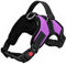 FYY Dog Harness No Pull, Breathable Adjustable Pet Vest, Reflective Oxford Easy Control Dog Harness with Sturdy Handle for Small Medium Large Dogs M-Purple