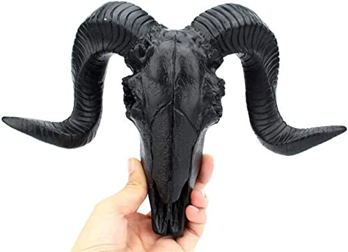 Resin Goat Skull Head Wall Hanging Decor Succulent Long Horns Wall Decoration 3D Animal Head Skull Sculpture Figurines Crafts Ornament Home Room Nordic Style Artwork Props (Black)
