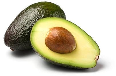 Árbol AGUACATE. Planta de 1 año en maceta plástica. 0,50 cm alt.