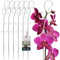 KOTARBAU® 6er Set Pflanzenstütze Transparent PVC 39 cm Blumenstütze Rankhilfe Zimmerpflanzen Blumenstütze Garten Orchideenstab Stützstab Pflanzen dekorative Pflanzenhalter Zimmerpflanzen Rankstäbe