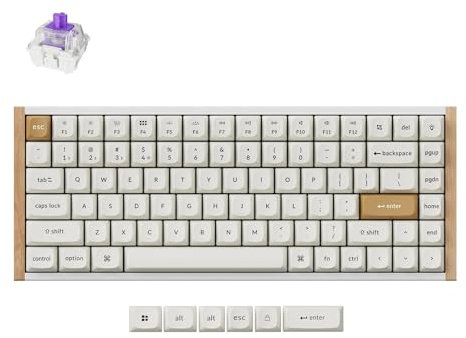 Keychron K2 HE Clavier Magnétique sans Fil, 2.4Ghz/Bluetooth/USB-C, RGB, Hot-Swap, QMK/Via, Gateron Magnetic Switch Nebula, Compatible avec Mac Windows Linux, Special Edition Blanco
