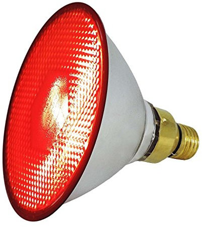 EIDER Energiespar Infrarotlampe für Wärmestrahlgerät - 175 W - Top Qualität (175 Watt)