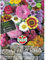 Sperli-Samen Bauerngarten Sinfonie - Blumenmischung
