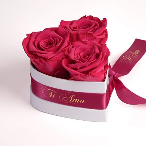 ROSEMARIE SCHULZ Heidelberg Infinity Rosenbox Herz - 10x12cm 3 konservierte Rosen haltbar 3 Jahre Frauen - Beste Freundin Geschenke (Ti Amo, Pink)