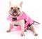 Hifrenchies, Giubbotto di salvataggio per cani a forma di pesce, gilet di sicurezza per animali domestici, per bulldog francese (taglia: M, motivo: sirena)