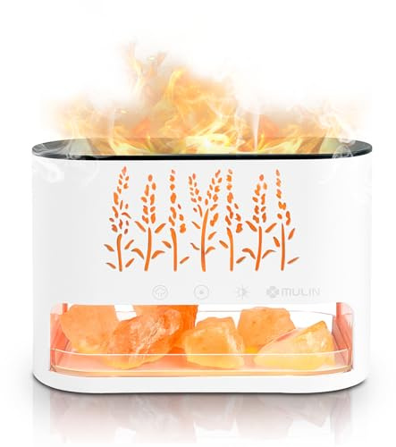 MULIN 2 en 1 diffuseur huiles essentielles & Lampe en Cristal de Sel Himalaya, diffuseur Huile Essentielle avec Lumière Effet Flamme,pour Salon Chambre Yoga comme Cadeau Anniversaire.Blanc