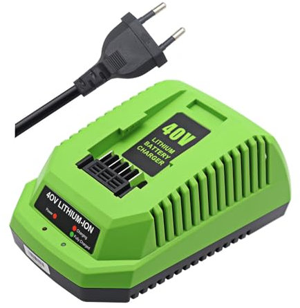 Ladegerät Netzteil Ladekabel 40V 2A Ersatz für Greenworks G40C für Geräte und Akkus der Greenworks 40V-Serie 29482 29462 29472 2901319 2938302 BAF702 L-300 BAF704 BAF705 29252 20202 22262