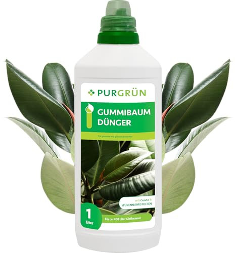 Purgrün® Gummibaum-Dünger 1 Liter – Glänzende Blätter und gesundes Wachstum dank Guano – Vollumfängliche Versorgung mit Spurennährstoffen – Ergiebige Grünfpflanzendünger für ca 400 Liter Gießwasser