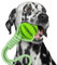 Generisch LoyalPet Ball mit Seil Hundespielzeug aus Naturkautschuk – Umweltfreundlich – Mit Baumwollseil für Interaktiven Spielspaß und Zahnpflege – Ideal für Training und Bindungsstärkung (Grün)