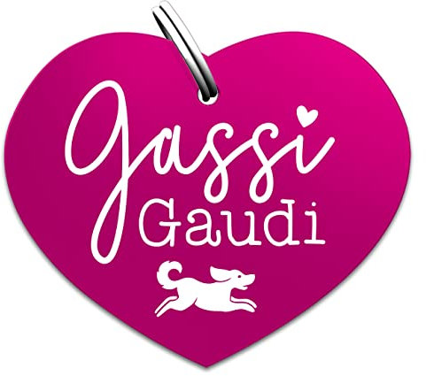 Soulhorse Souldogs Hundemarke mit Gravur - Schöner Anhänger für Hundehalsband Geschirre, Halsbänder & Leinen für Hunde Dog Tag mit Gravur Hundezubehör (Gassigaudi, pink)