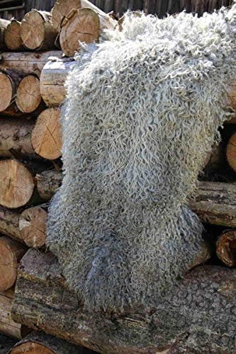 Gotland Schaffell lockig Lammfell Curly Echtfell Unikat Gotlandschaf versch. Größen Größe 120-130