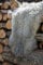Gotland Schaffell lockig Lammfell Curly Echtfell Unikat Gotlandschaf versch. Größen Größe 120-130