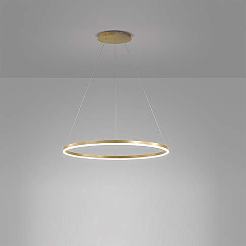 1-Licht Single Circle Pendelleuchte Nordic Modern Ring Lüster Abgehängt Verstellbar LED Hängelampe Für Wohnzimmer Schlafzimmer Esszimmer,Gold+Neutral Light-40CM 25W