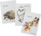 Pagna 20370-25 Set Freundebuch Save me No.2 60S 3 Stück Weiß