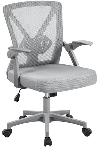 Yaheetech Office Ergonomic Desk Chair Comfy Swivel Computer Chair with Flip-up Armrest Lumbar Support & Adjustable Height for Home and Study, Gray
