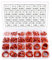 YIXISI 385 Piezas 24 Tamaños Juego de Surtido de Juntas Tóricas Rojo, Juntas de Estanqueidad de Silicona, para Sellado De Arandela De Fontanería y Reparación Rápida Automática