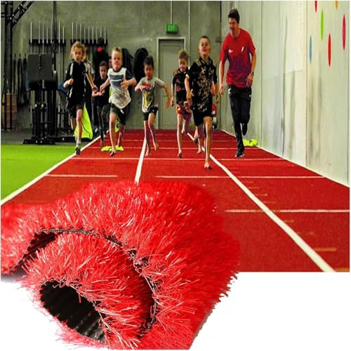 GPECTIFO Gazon Artificiel extérieur Respirant Rouleau d'herbe réaliste Faux Tapis d'herbe décoration extérieure Doux Ceinture d'herbe for Animaux de Compagnie Trou de Drainage Fausse Herbe