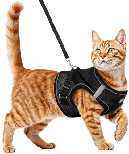 Wanmu Cat Harness and Leash, Escape Proof Cat Harness for Walking, Breathable Lightweight Soft Vest for Outdoor Travel, Camping, No-Choke Design (Black, XL)