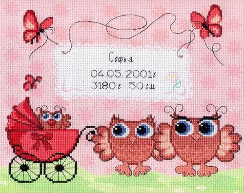MP Studia Kreuzstich-Sticksets für Erwachsene und Anfänger, Kindermotive - Geburt Sampler Eulen 22x25cm/8.66x9.84 14ct.
